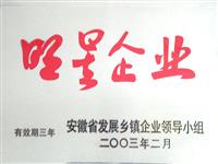 安徽省明星企業(yè)